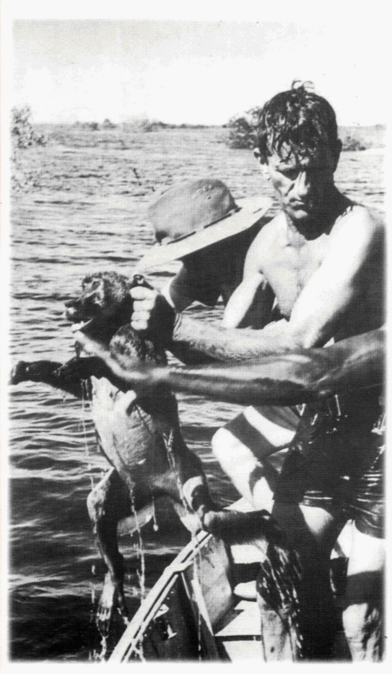 Operation Noah - Lake Kariba Zimbabwe Lake Kariba